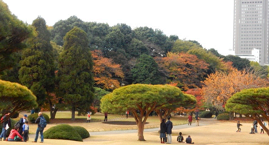 f0231709_01042304.gif