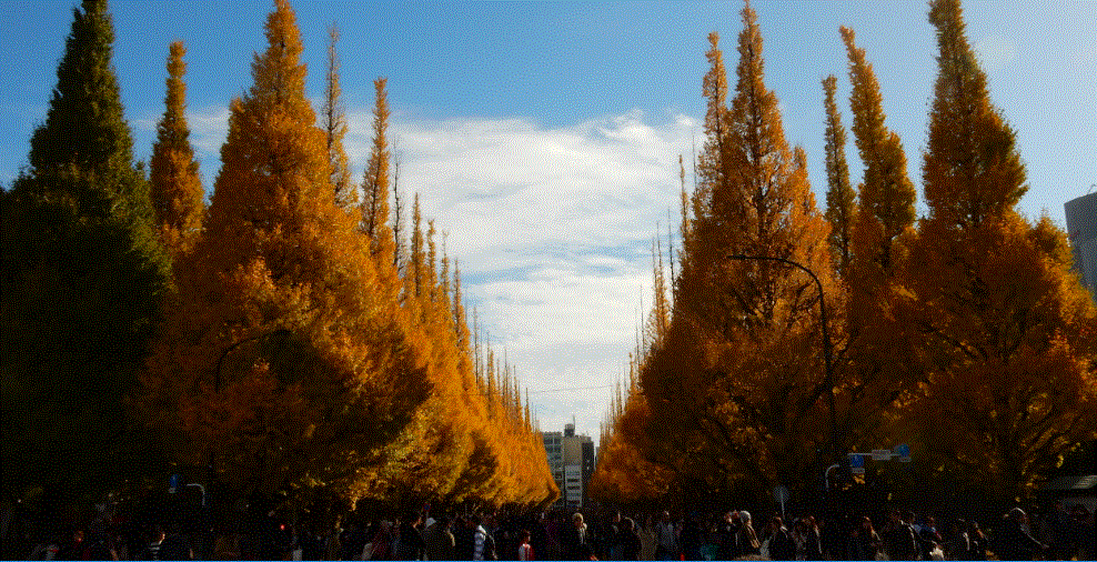 f0231709_01073450.gif
