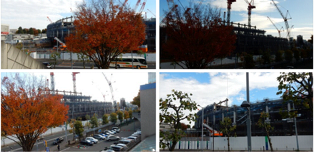 f0231709_01173679.gif
