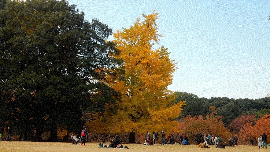 f0231709_14093919.gif