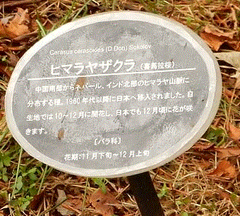 f0231709_14104223.gif