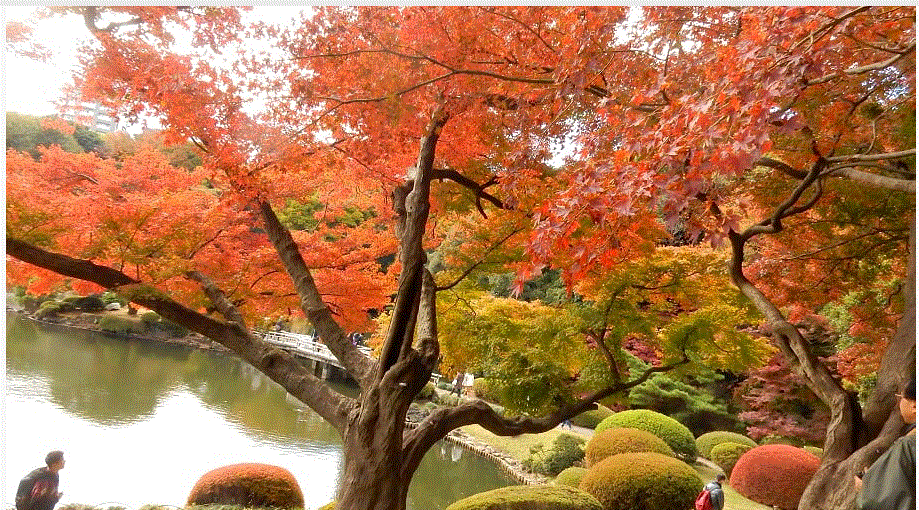 f0231709_14113208.gif