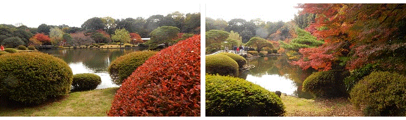 f0231709_14164775.gif