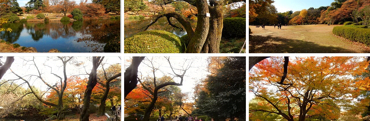 f0231709_14170828.gif