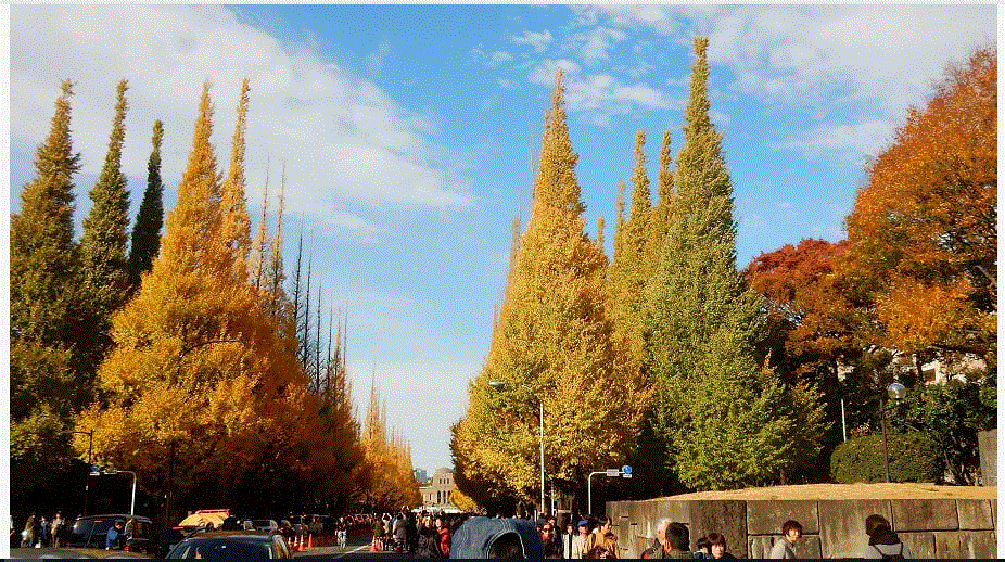 f0231709_14273685.gif