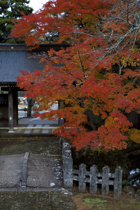 山門のある寺 其の二_e0362418_11270497.jpg