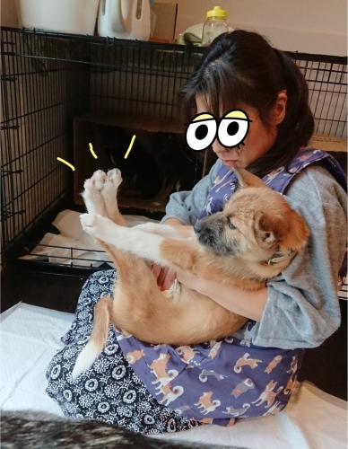 待機児童対策_b0207320_16115375.jpeg