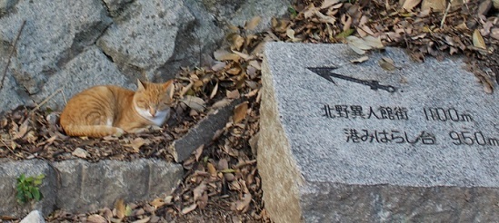 c0280322_14133241.jpg
