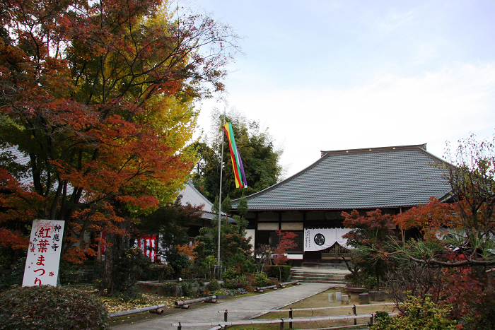 紅葉の八幡市 －神應寺－_b0169330_22391689.jpg