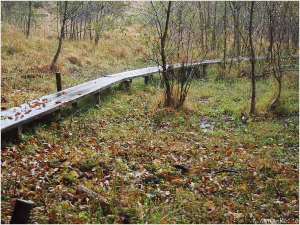 c0103830_20443579.jpg