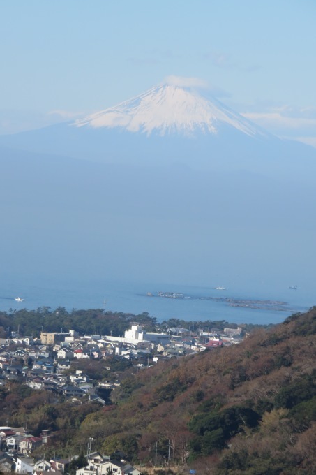 葉山に肥料を買いに富士山も見えて_d0323231_20360172.jpg