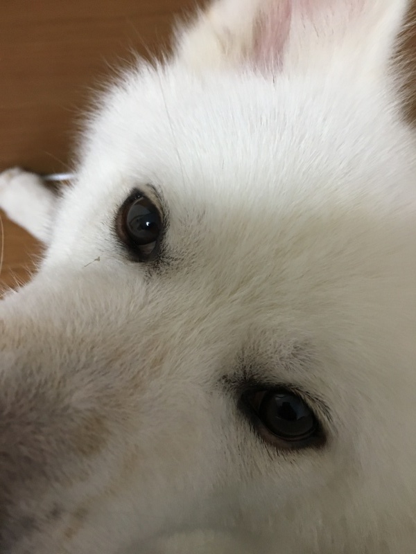 e0364035_01013417.jpeg
