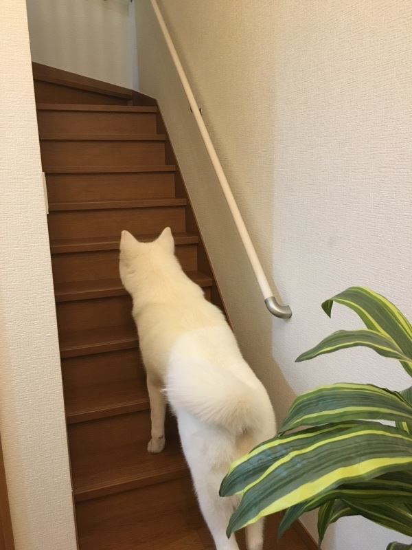 e0364035_01375964.jpeg