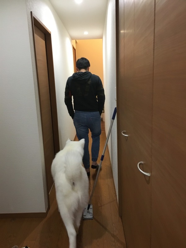 e0364035_01383900.jpeg