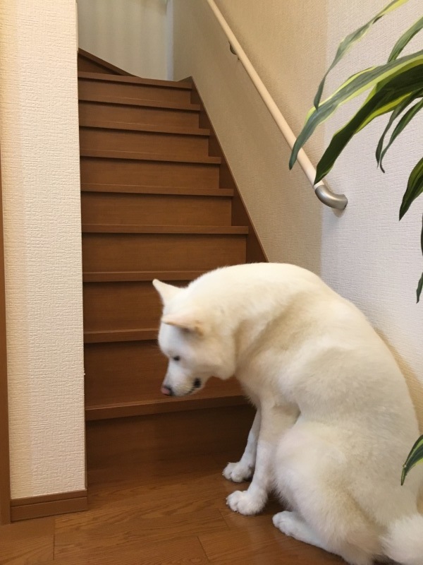 e0364035_01404534.jpeg