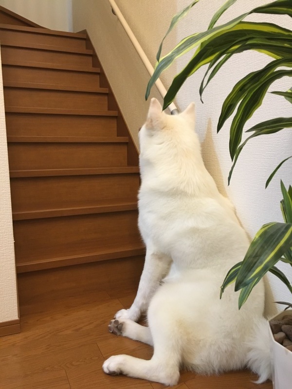 e0364035_01430074.jpeg