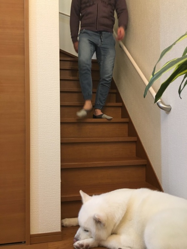 e0364035_01454916.jpeg
