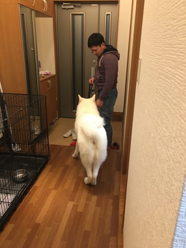 e0364035_01523385.jpeg
