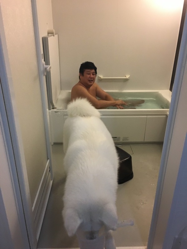e0364035_02051603.jpeg