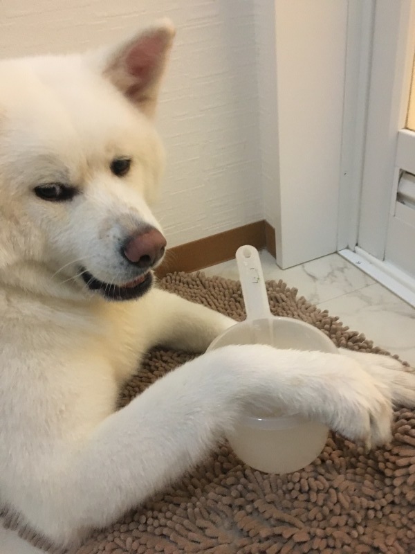 e0364035_02061978.jpeg