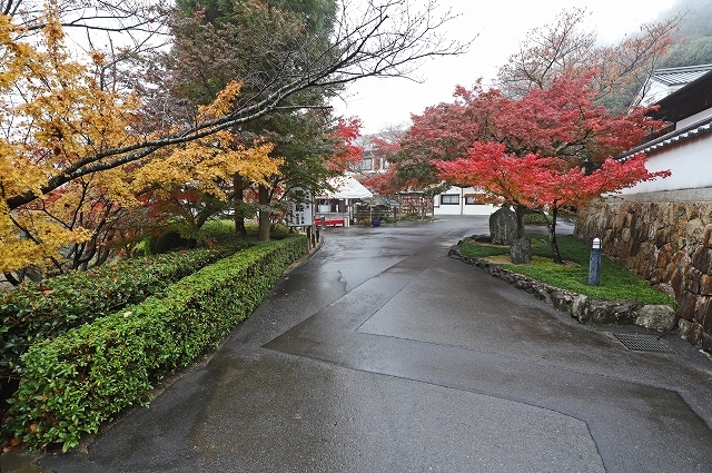 a0242438_18004552.jpg