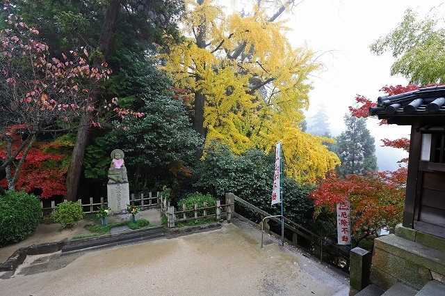 a0242438_18005378.jpg
