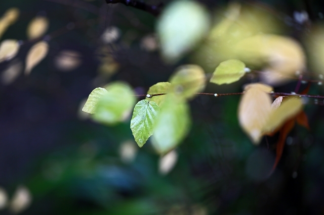 a0242438_18034167.jpg