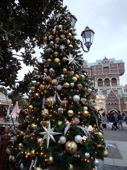 b0132338_07514958.jpg