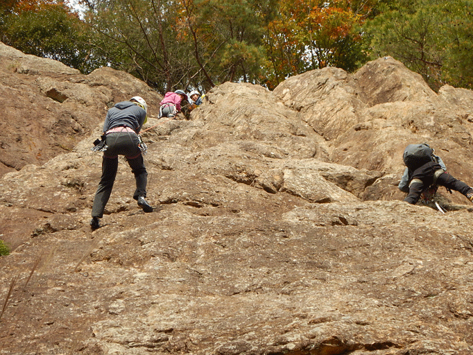 e0371039_11201339.gif
