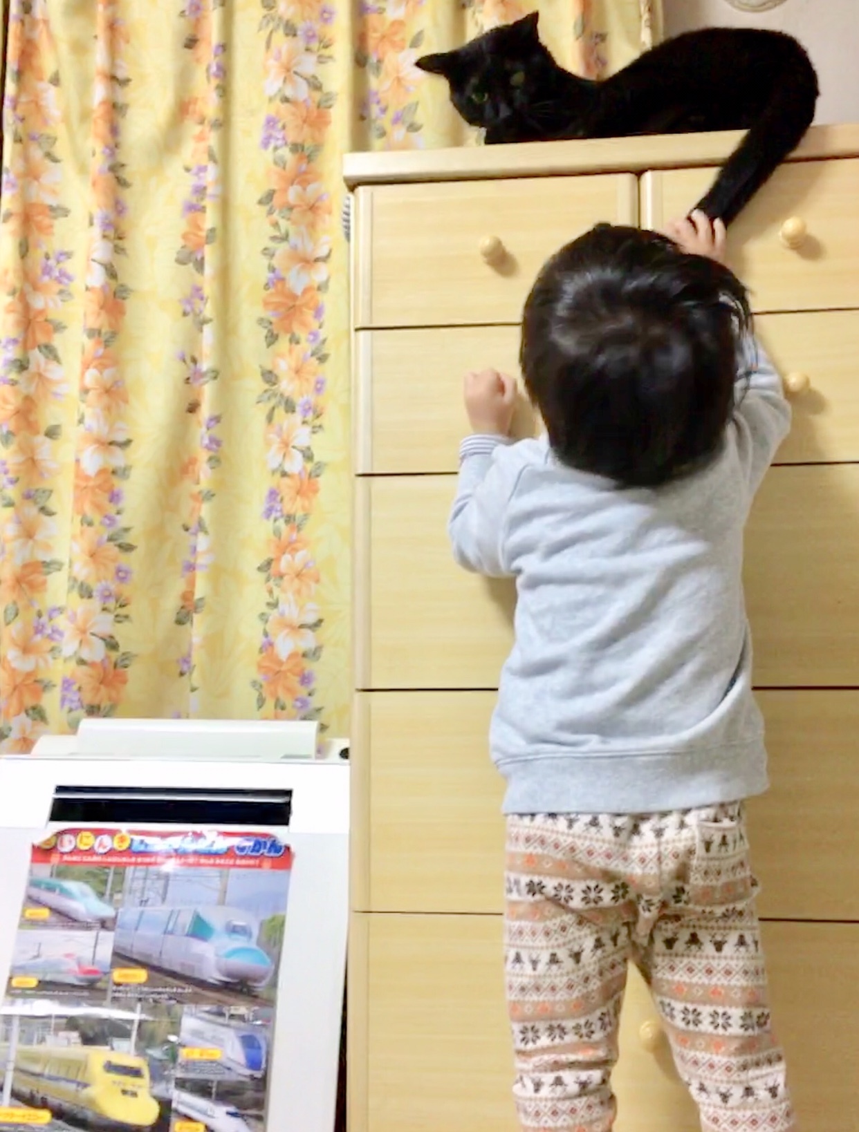b0341440_21551881.jpeg