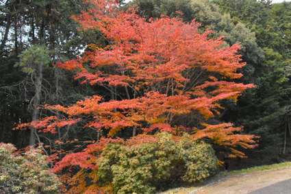 a0100742_21094597.jpg