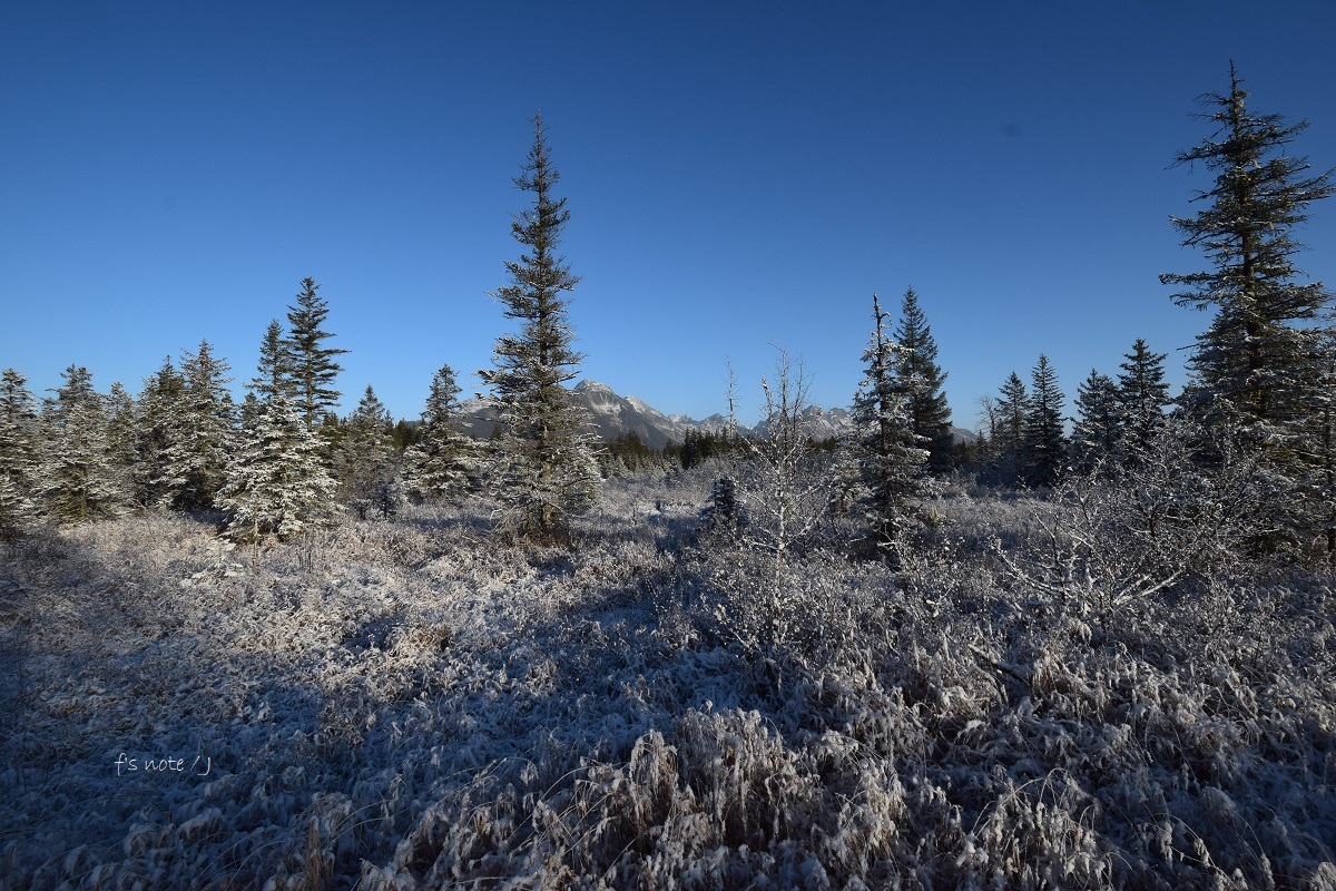 d0356844_01561350.jpg