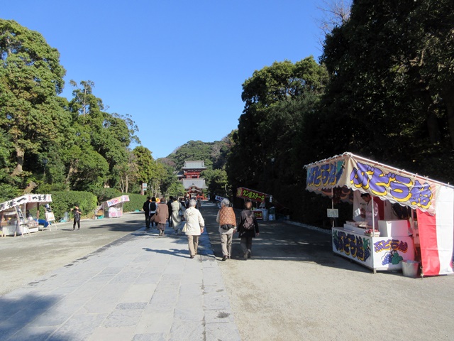 【鎌倉】鶴岡八幡宮の紅葉2017_b0009849_1445559.jpg