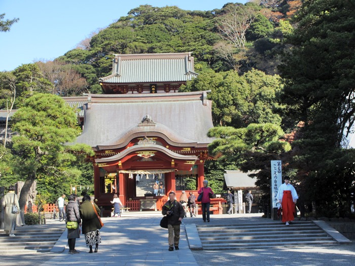【鎌倉】鶴岡八幡宮の紅葉2017_b0009849_1449149.jpg