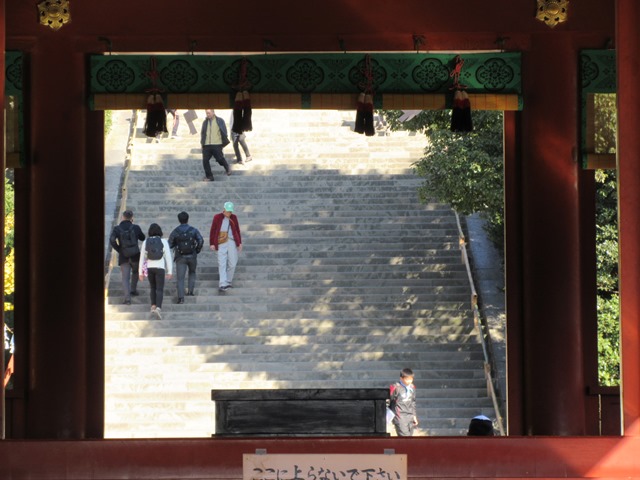 【鎌倉】鶴岡八幡宮の紅葉2017_b0009849_1450658.jpg