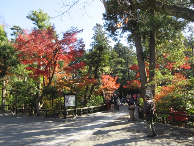 【鎌倉】鶴岡八幡宮の紅葉2017_b0009849_14514269.jpg