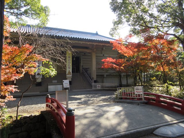 【鎌倉】鶴岡八幡宮の紅葉2017_b0009849_14564881.jpg