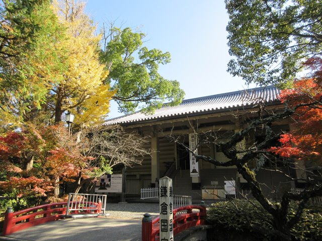 【鎌倉】鶴岡八幡宮の紅葉2017_b0009849_14574753.jpg