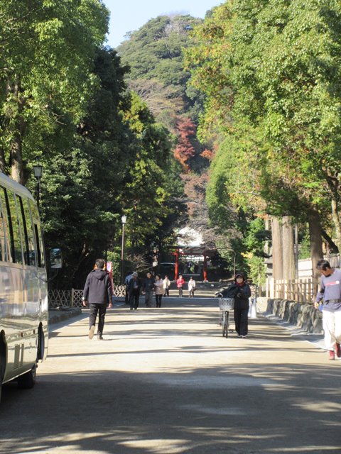 【鎌倉】鶴岡八幡宮の紅葉2017_b0009849_145825100.jpg