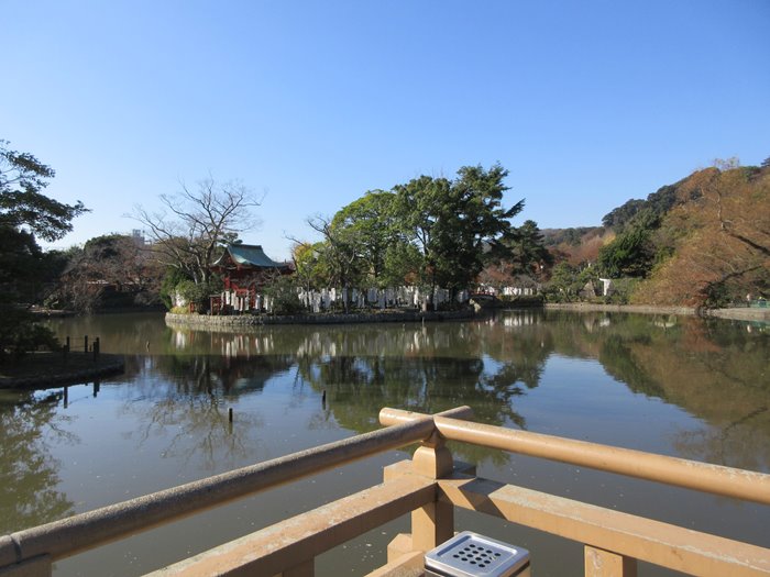 【鎌倉】鶴岡八幡宮の紅葉2017_b0009849_1501521.jpg