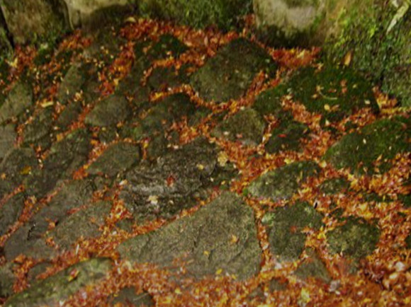 b0243152_09382729.jpg