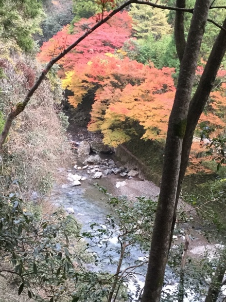 愛宕さん続きの続き　月輪寺経由で下山_c0073152_18253032.jpg