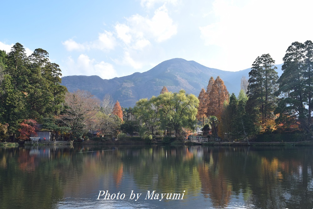 路線バスで湯布院へ♪_c0206352_21304714.jpg