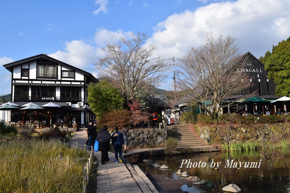 路線バスで湯布院へ♪_c0206352_21312900.jpg