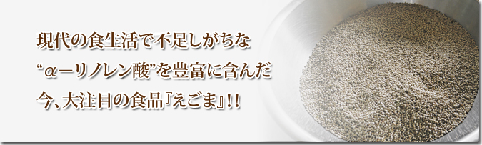 白えごま油『ピュアホワイト』数量限定販売開始！熊本県菊池市菊池水源で無農薬で育てた白えごま油です！_a0254656_08450670.jpg