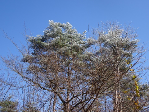 f0198556_21531788.jpeg