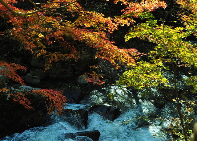 岡山県総社市　豪渓_a0284558_210752.jpg