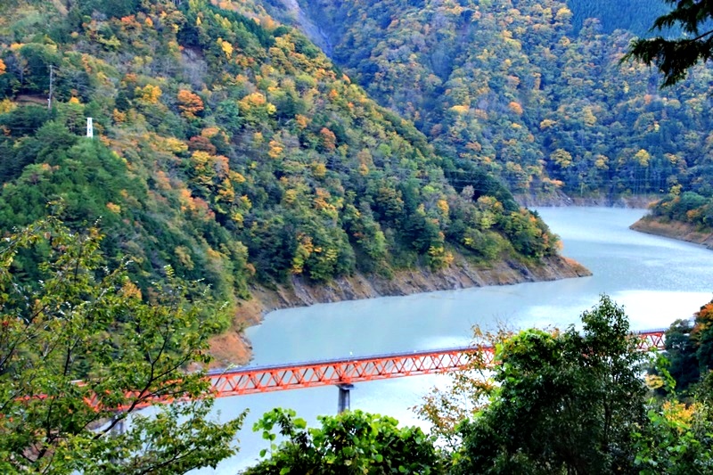 a0167759_054711.jpg