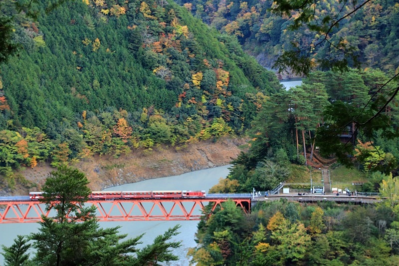 a0167759_0582075.jpg