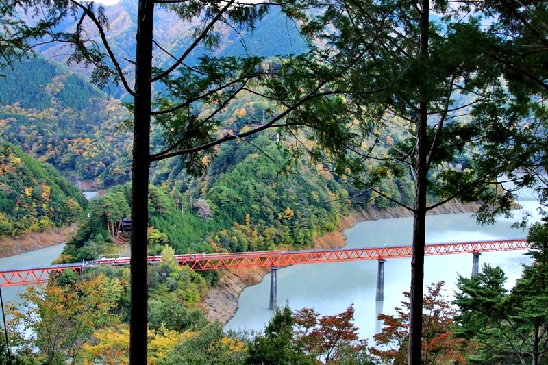 a0167759_101799.jpg
